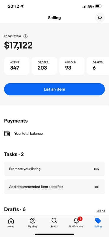 101 Reselling Mentorship Program